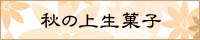 aَqi㐶َqj@H̍iy[W